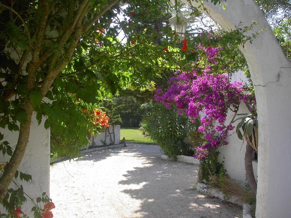 Hotel Rural A Coutada - Peniche Atouguia Da Baleia Eksteriør billede